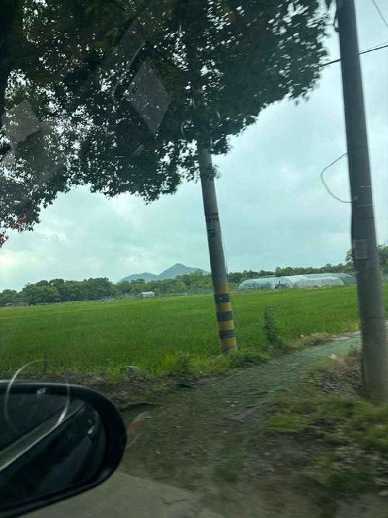 泸县苗圃种植的三大误区
